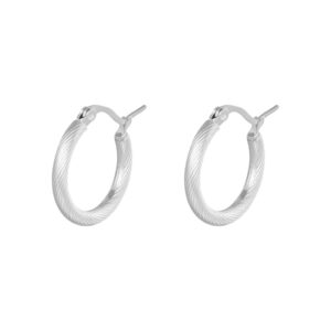 Oorringen stainless steel 22mm